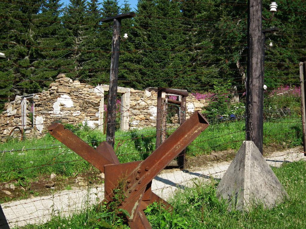 Hotel Alpska Vyhlidka Kvilda Exteriér fotografie
