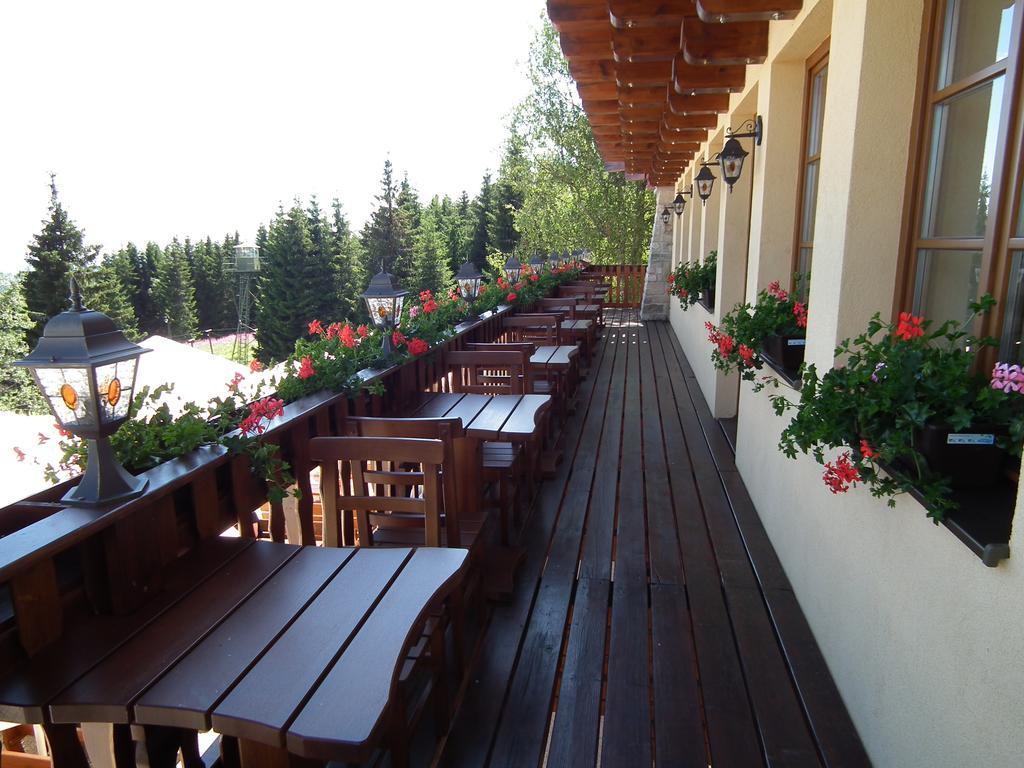 Hotel Alpska Vyhlidka Kvilda Exteriér fotografie
